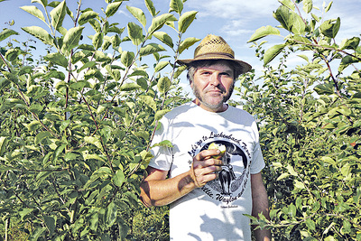 Richard Mahringer ist Permakultur-Vortragender am Krameterhof (www.krameterhof.at).