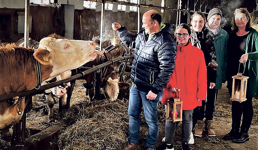 Über frischen Duft im Kuhstall freuen sich die Tiere am Bauernhof der Familie Muckenhumer in Wernstein am Inn. 