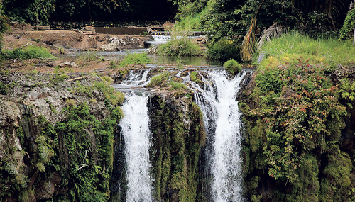 Auf den Wegen des Lebens mit Gott unterwegs. 