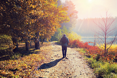 Bei einem ausgedehnten Herbstspaziergang Sonne zu tanken, wirkt positiv auf die Stimmung.  vvvita/Adobe Stock