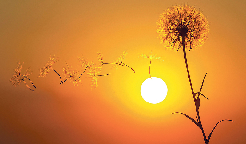 „Reich Gottes ist auch schon hier und jetzt, mitten unter  uns.“ (Lk 17,20f).  