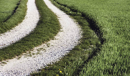 Feldweg [ (c) www.BilderBox.com, Erwin Wodicka, Siedlerzeile 3, A-4062 Thening, Tel. + 43 676 5103678.Verwendung nur gegen HONORAR, BELEG,URHEBERVERMERK und den AGBs auf bilderbox.com](in an im auf aus als and beim mit einer einem eines * & der die d