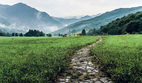 Zeige mir, Herr, deine Wege, lehre mich deine Pfade! / Unsplash, Lilli Popper Zeige mir, Herr, deine Wege, lehre mich deine Pfade!