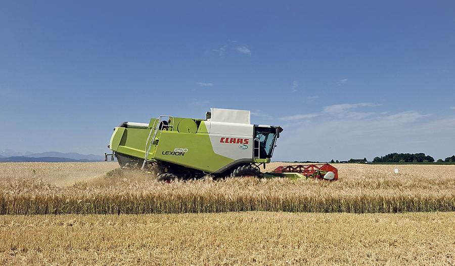 Die Getreideernte in OÖ läuft, etwa 25 Prozent stehen noch auf dem Feld.  