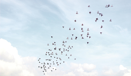 Welche Rolle spielt der Papst in den verschiedenen christlichen Kirchen?