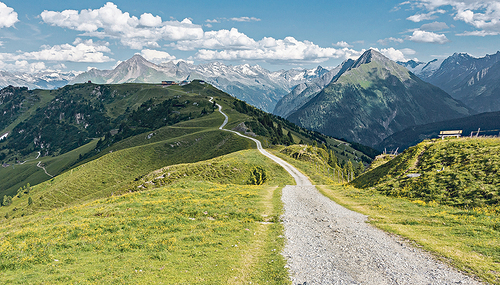Auch die beschwerlichen Wege gehen.