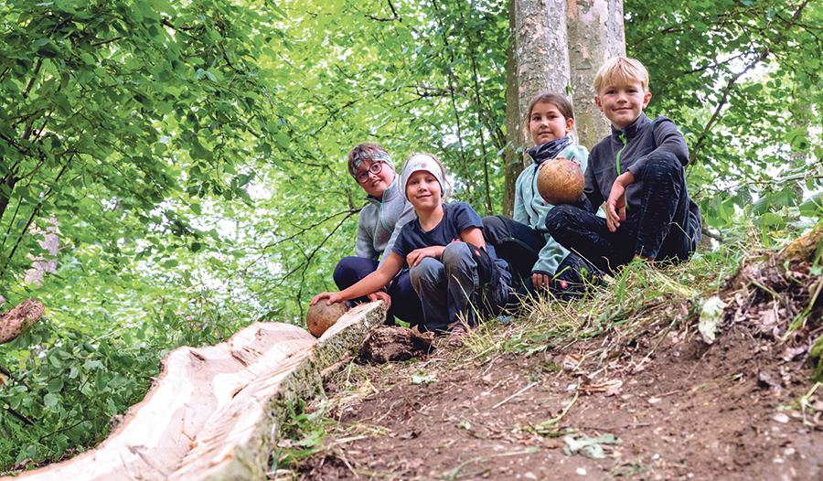 In St. Marien bauten die Kinder im Wald eine Kugelbahn. 