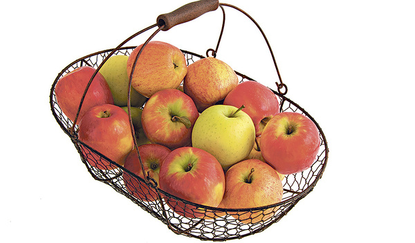 Rot, gelb, grün, süß oder säuerlich – Äpfel sind das Lieblingsobst von Groß und Klein.
