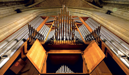 Rudigierorgel.    