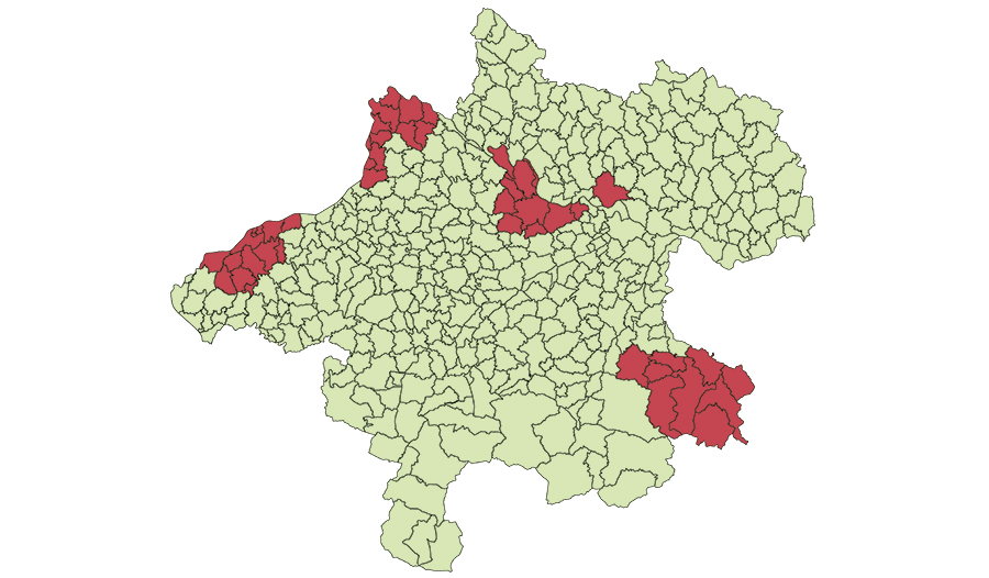 Die 5 Pionierpfarren