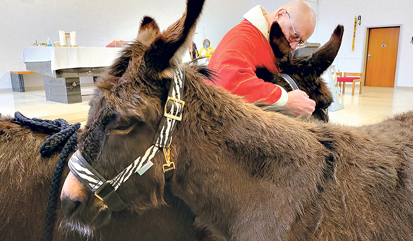 Pfarrer Franz Zeiger mit den Eselmädchen Resi und Liesi      