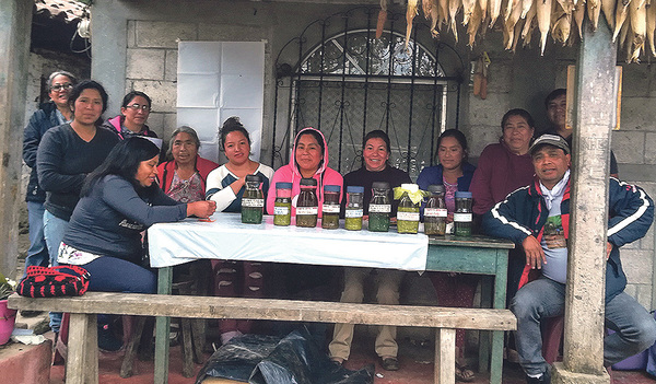 Eine Frauengruppe von AMOIXQUIC ist stolz auf die verschiedenen nützlichen Mittel  (u. a. zur Parasitenbekämpfung), die sie aus Heilkräutern selber herstellen. Hinten links steht Julia Cajas Lima, vor ihr Mayra Magalí Carreto Rivera.  