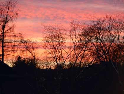 Naturschauspiel, Abendhimmel, B?ume, Wolken, Sonne, Sch?fchenwolken, Horizont, Feuer, Winter, Abendsonne, Abend, D?mmerung


Franz Maria Glaser, Einfaltstra?e 7, 4020 Linz
BLZ 49460 Spardabank
Kontonummer 00-378.444