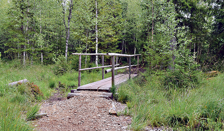 Nach der spannenden Wanderung im Tanner Moor bei Liebenau lockt der kühle  Rubnerteich. 