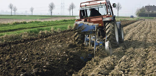 Traktor auf dem Feld - tractor at field