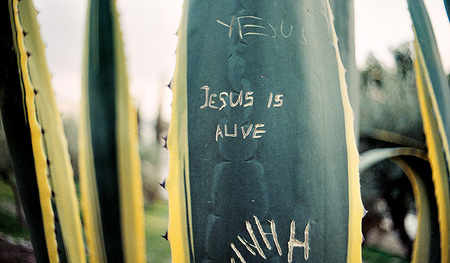 „Jesus is alive“ – „Jesus lebt“. Befreiende Botschaft, die verrückt klingt.   