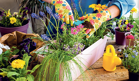 Endlich wieder Farbe nach dem langen, grauen Winter.