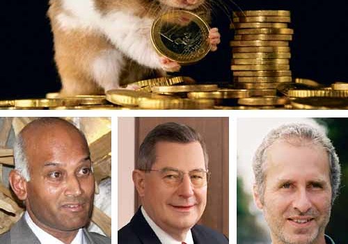 Goldhamster mit Eurom?nzen - Golden hamster collecting Euro coins