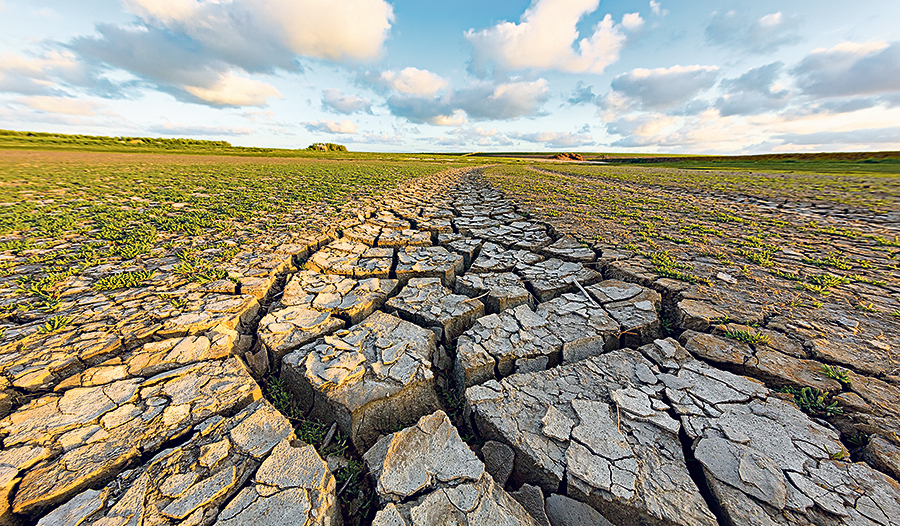Der Klimawandel verursacht verstärkt extreme Wetterereignisse wie lang anhaltende Dürreperioden. 