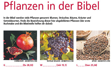 Pflanzen in der Bibel