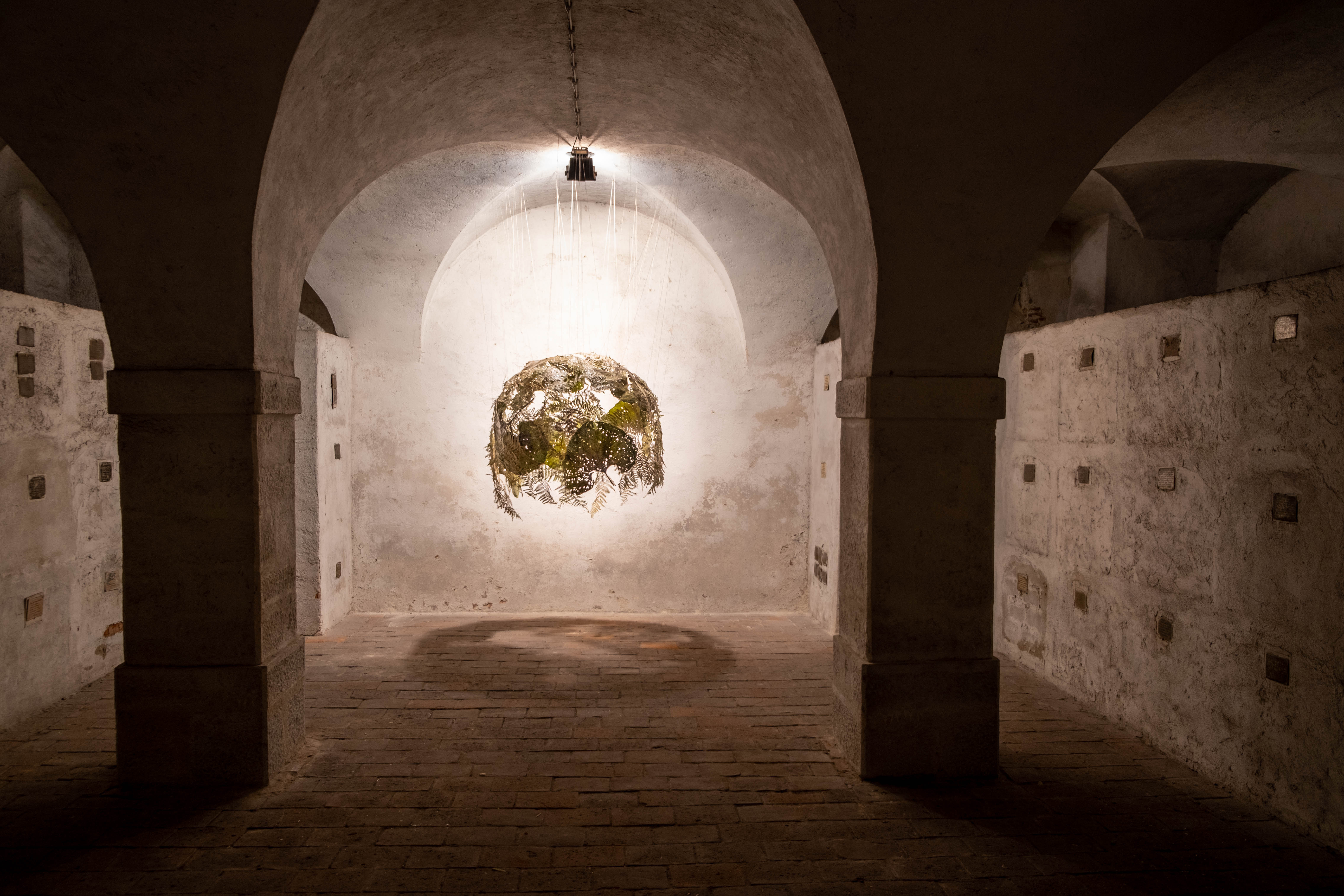 „Symbiotic Matter“ von Ruth Größwang