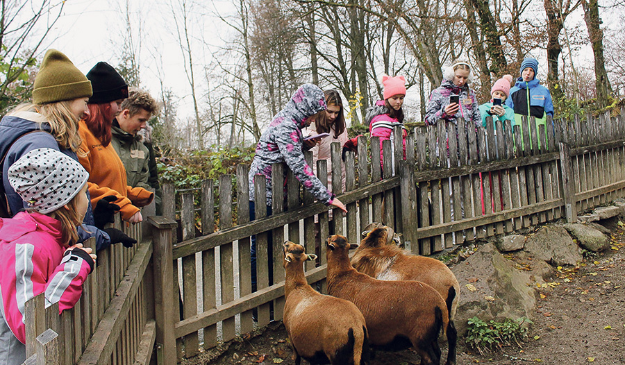 Der Besuch im Tierpark war ein Highlight.